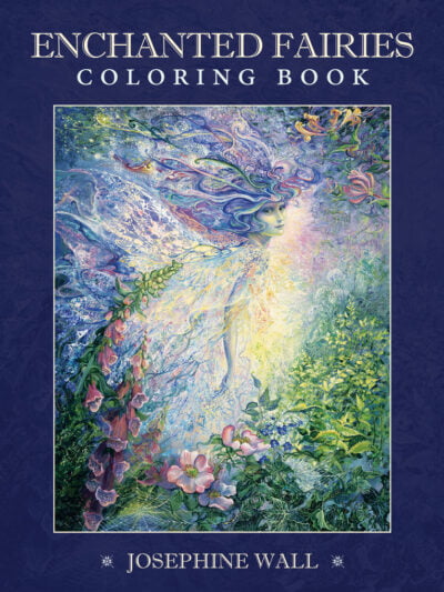 Enchanted Fairies Colouring Book