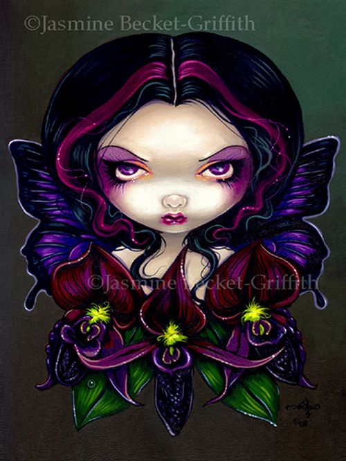 Black Orchid Fairy