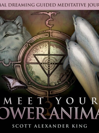 Meet Your Power Animal CD