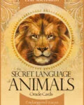 The Secret Language of Animals